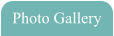 Photo Gallery